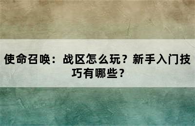 使命召唤：战区怎么玩？新手入门技巧有哪些？