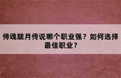 侍魂胧月传说哪个职业强？如何选择最佳职业？