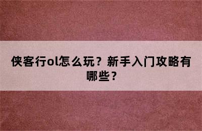 侠客行ol怎么玩？新手入门攻略有哪些？