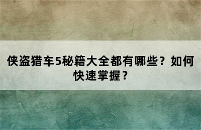 侠盗猎车5秘籍大全都有哪些？如何快速掌握？