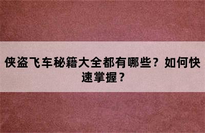 侠盗飞车秘籍大全都有哪些？如何快速掌握？