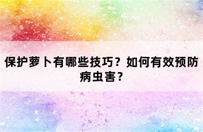 保护萝卜有哪些技巧？如何有效预防病虫害？