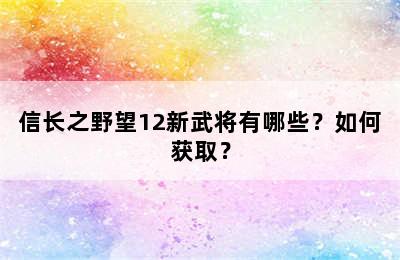 信长之野望12新武将有哪些？如何获取？