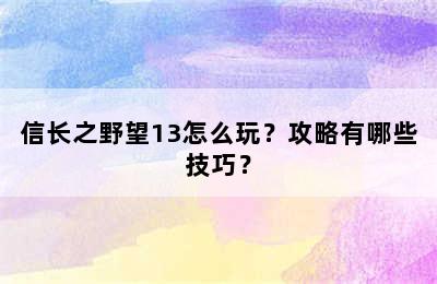 信长之野望13怎么玩？攻略有哪些技巧？