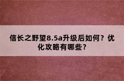 信长之野望8.5a升级后如何？优化攻略有哪些？