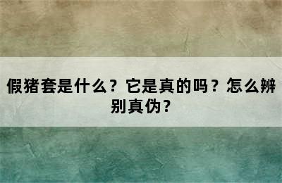 假猪套是什么？它是真的吗？怎么辨别真伪？