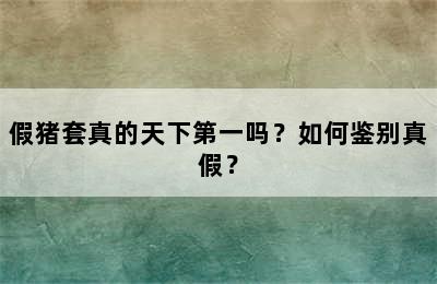 假猪套真的天下第一吗？如何鉴别真假？