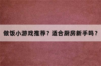 做饭小游戏推荐？适合厨房新手吗？