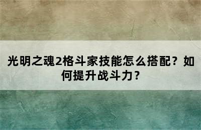 光明之魂2格斗家技能怎么搭配？如何提升战斗力？