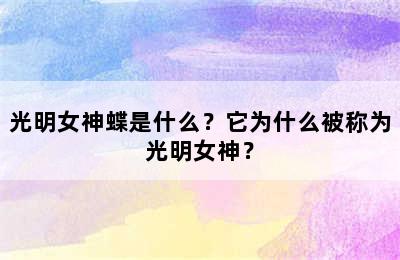 光明女神蝶是什么？它为什么被称为光明女神？