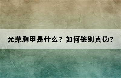 光荣胸甲是什么？如何鉴别真伪？