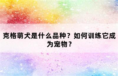 克格萌犬是什么品种？如何训练它成为宠物？