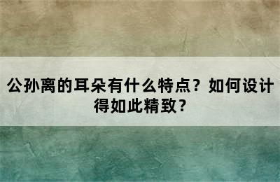 公孙离的耳朵有什么特点？如何设计得如此精致？