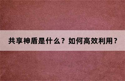 共享神盾是什么？如何高效利用？