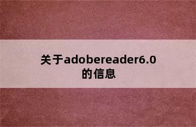 关于adobereader6.0的信息