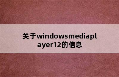 关于windowsmediaplayer12的信息