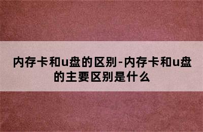 内存卡和u盘的区别-内存卡和u盘的主要区别是什么