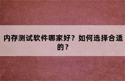 内存测试软件哪家好？如何选择合适的？