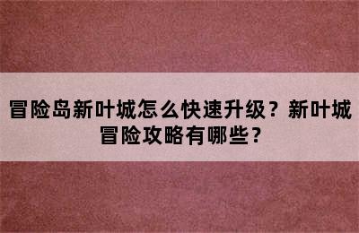 冒险岛新叶城怎么快速升级？新叶城冒险攻略有哪些？