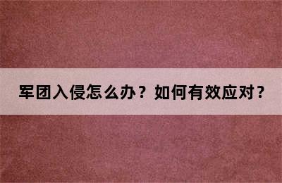 军团入侵怎么办？如何有效应对？