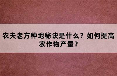 农夫老方种地秘诀是什么？如何提高农作物产量？