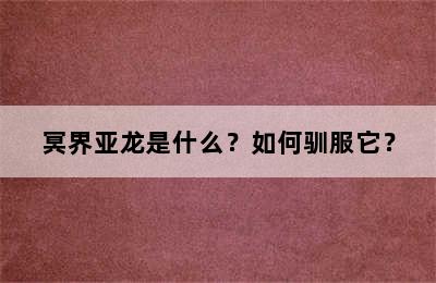 冥界亚龙是什么？如何驯服它？