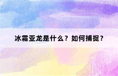 冰霜亚龙是什么？如何捕捉？