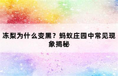 冻梨为什么变黑？蚂蚁庄园中常见现象揭秘