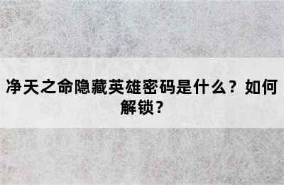 净天之命隐藏英雄密码是什么？如何解锁？