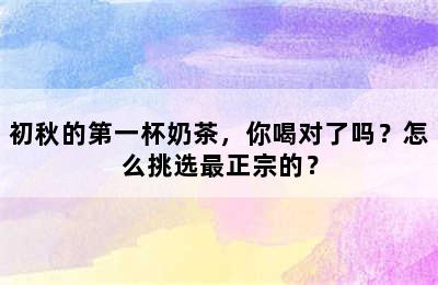 初秋的第一杯奶茶，你喝对了吗？怎么挑选最正宗的？