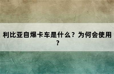 利比亚自爆卡车是什么？为何会使用？