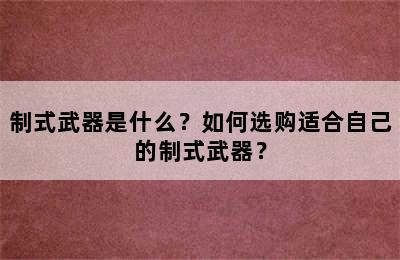 制式武器是什么？如何选购适合自己的制式武器？