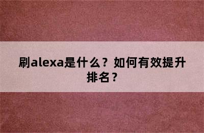 刷alexa是什么？如何有效提升排名？