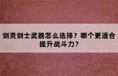 剑灵剑士武器怎么选择？哪个更适合提升战斗力？