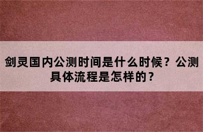 剑灵国内公测时间是什么时候？公测具体流程是怎样的？