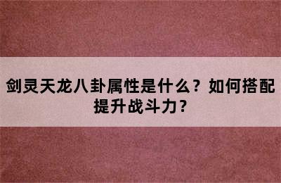 剑灵天龙八卦属性是什么？如何搭配提升战斗力？