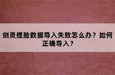 剑灵捏脸数据导入失败怎么办？如何正确导入？