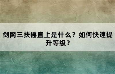 剑网三扶摇直上是什么？如何快速提升等级？