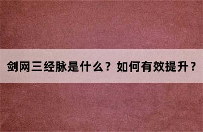 剑网三经脉是什么？如何有效提升？