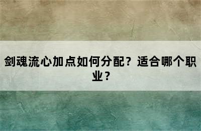 剑魂流心加点如何分配？适合哪个职业？