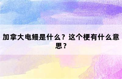 加拿大电鳗是什么？这个梗有什么意思？