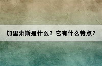 加里索斯是什么？它有什么特点？