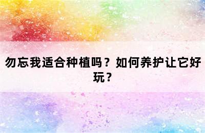 勿忘我适合种植吗？如何养护让它好玩？