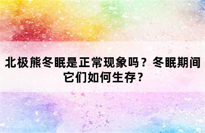 北极熊冬眠是正常现象吗？冬眠期间它们如何生存？