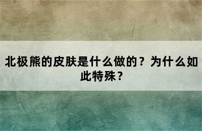 北极熊的皮肤是什么做的？为什么如此特殊？