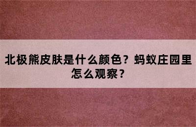 北极熊皮肤是什么颜色？蚂蚁庄园里怎么观察？