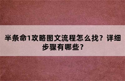 半条命1攻略图文流程怎么找？详细步骤有哪些？