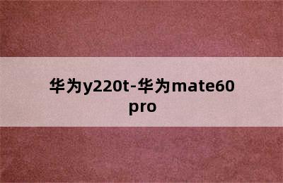 华为y220t-华为mate60pro