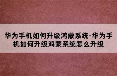 华为手机如何升级鸿蒙系统-华为手机如何升级鸿蒙系统怎么升级