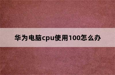 华为电脑cpu使用100怎么办